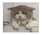 咆哮表情包图片大全