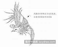 凤凰怎么画图片